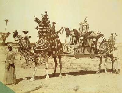 Bruidsdraagstoel, Caïro, Egypte, c.1878 door English Photographer